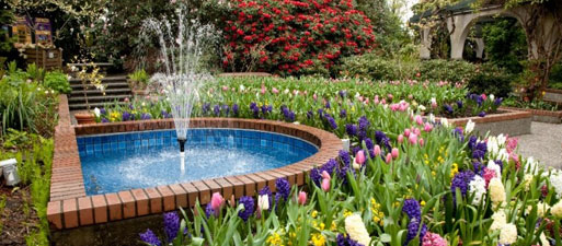 Park &Tilford Gardens