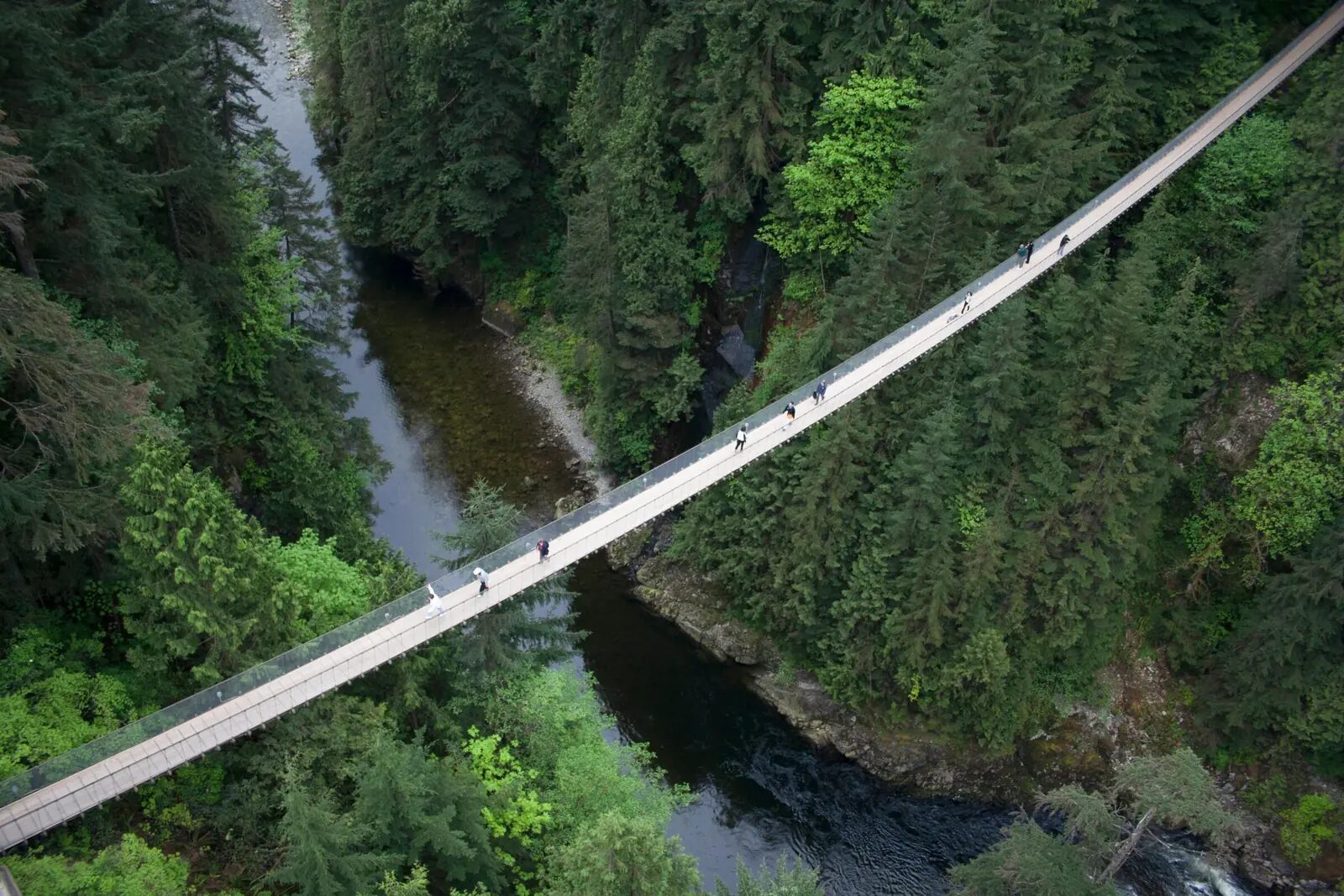 Capilano Bridge Package, Admission Tickets + Daily Dining Credit at Pinnacle Hotel at the Pier, North Vancouver