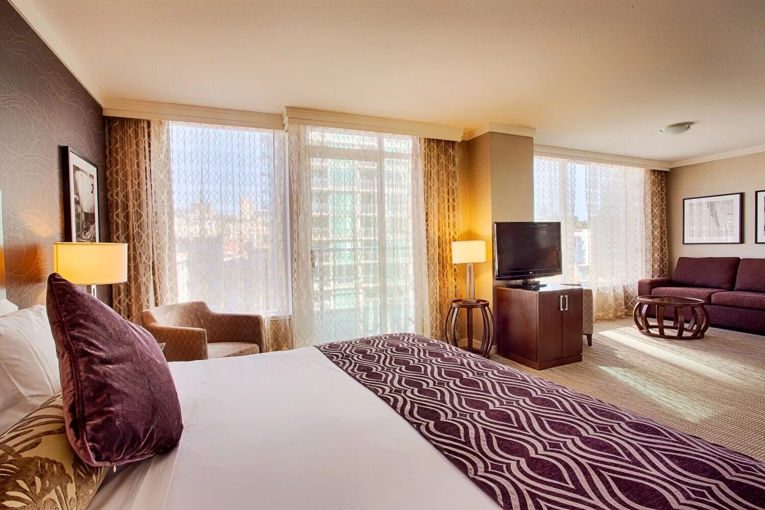 Studio suite with an open, comfortable layout